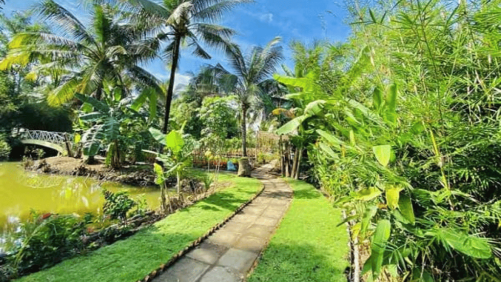 Ngành tre Việt Nam: Thách thức chuyển đổi từ cây nguyên liệu sang cây tỷ đô