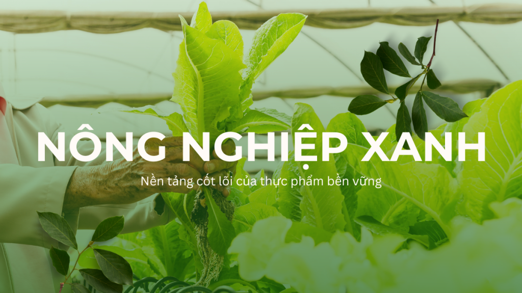 Nông nghiệp xanh – Nền tảng cốt lõi của hệ thống thực phẩm bền vững