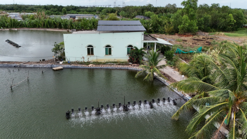 TPHCM giảm phát thải hướng tới Net Zero: Vùng ven biển triển khai kinh tế xanh và năng lượng sạch